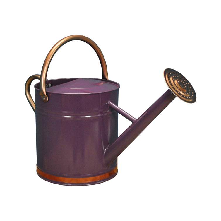 Selections 9 Litre Watering Can Wayfair.co.uk